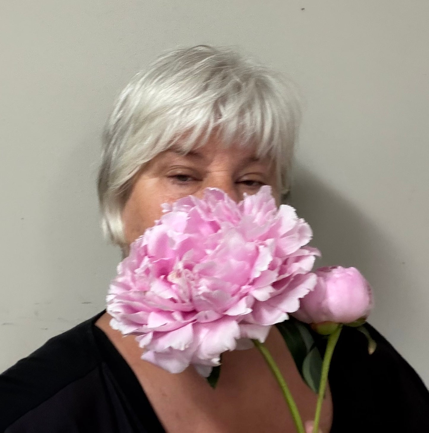 Sarah Bernhardt Peony Root