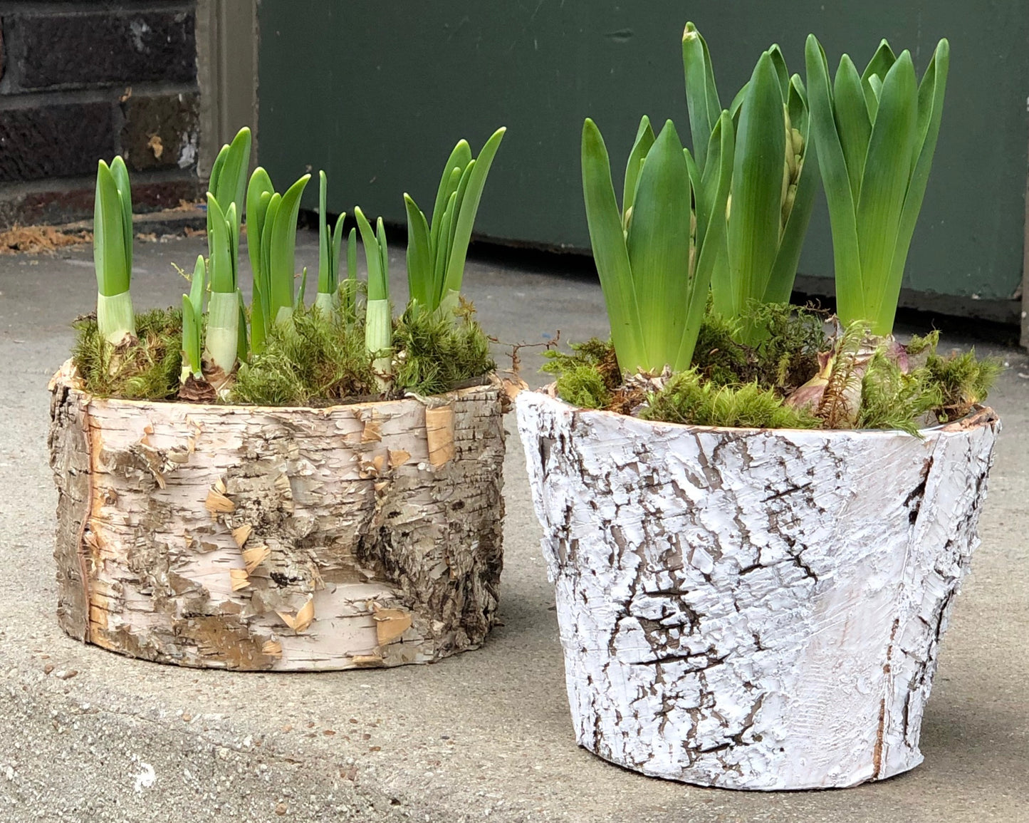 2026 Winter to Spring Bouquet Subscription