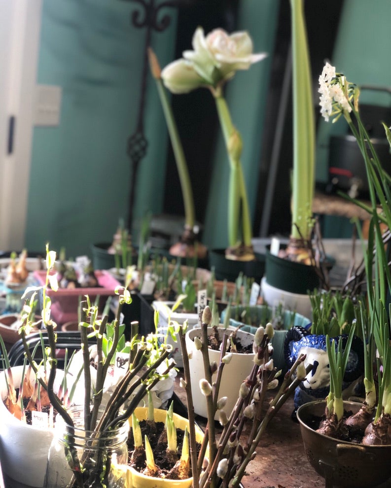 Hand painted white and gold cache pot 6"