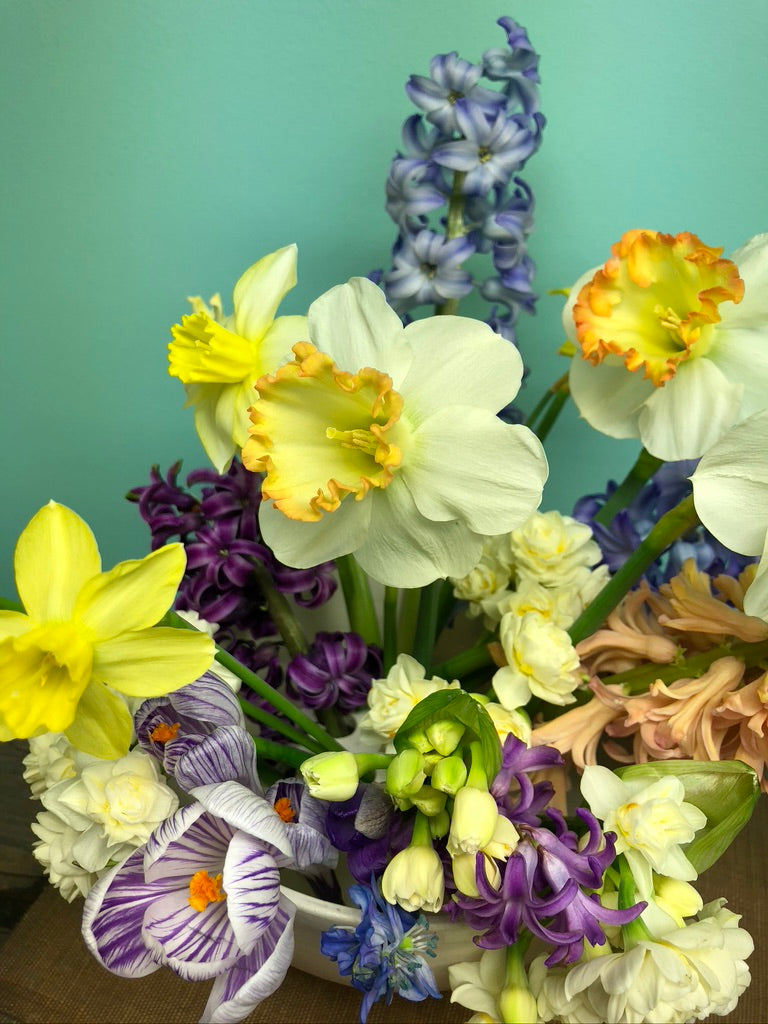 Tabletop bulb garden (large) LOCAL ONLY AVAILABLE MID FEBRUARY