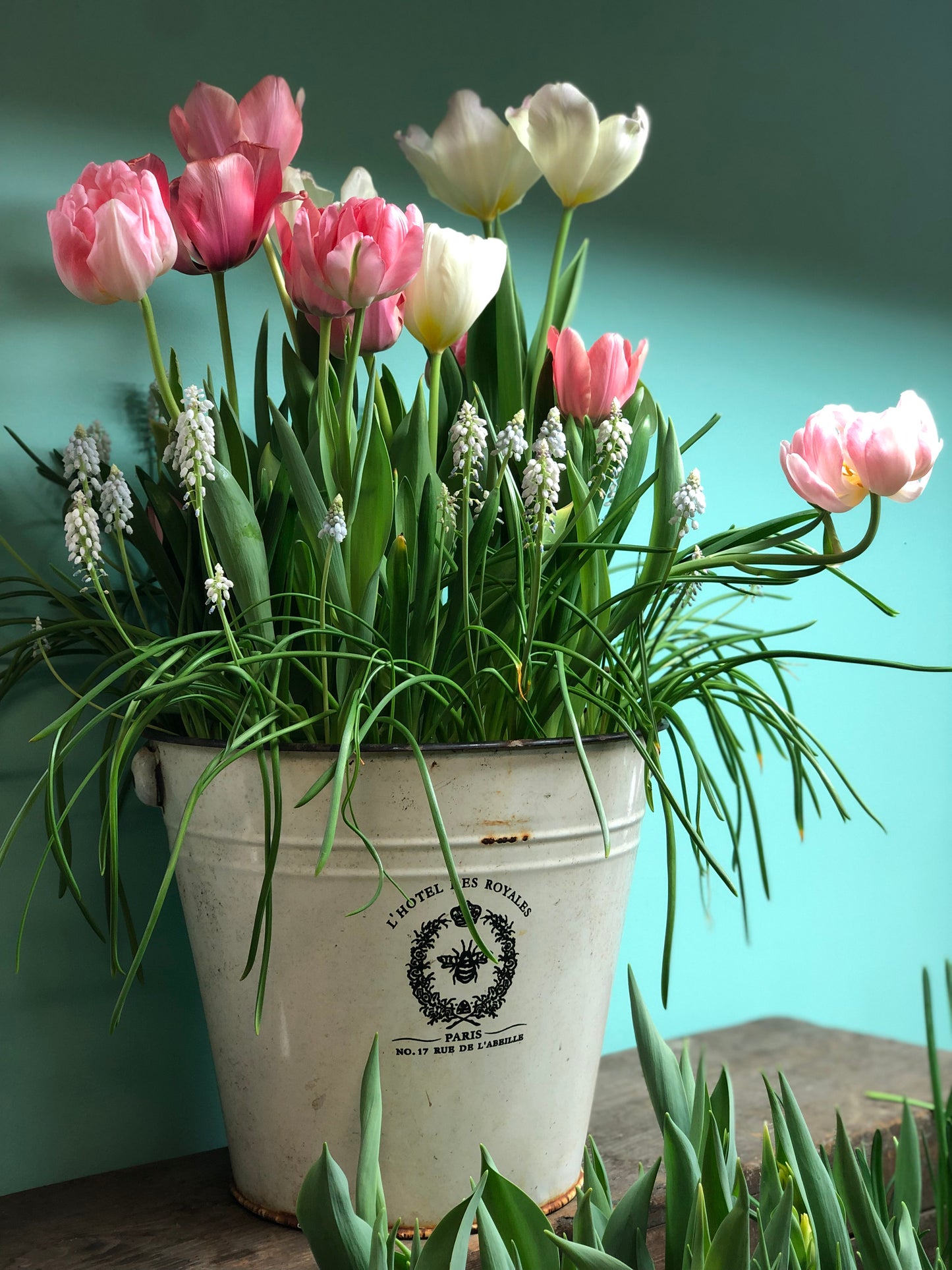 Custom bulb garden Local Only We start designing in September