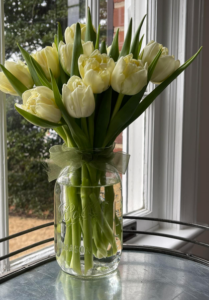 Avant Garde Peony Tulip Bulbs bulk savings available