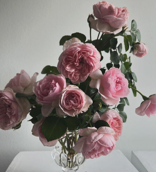 Fresh Cut Garden Roses 5 Stem Bunch