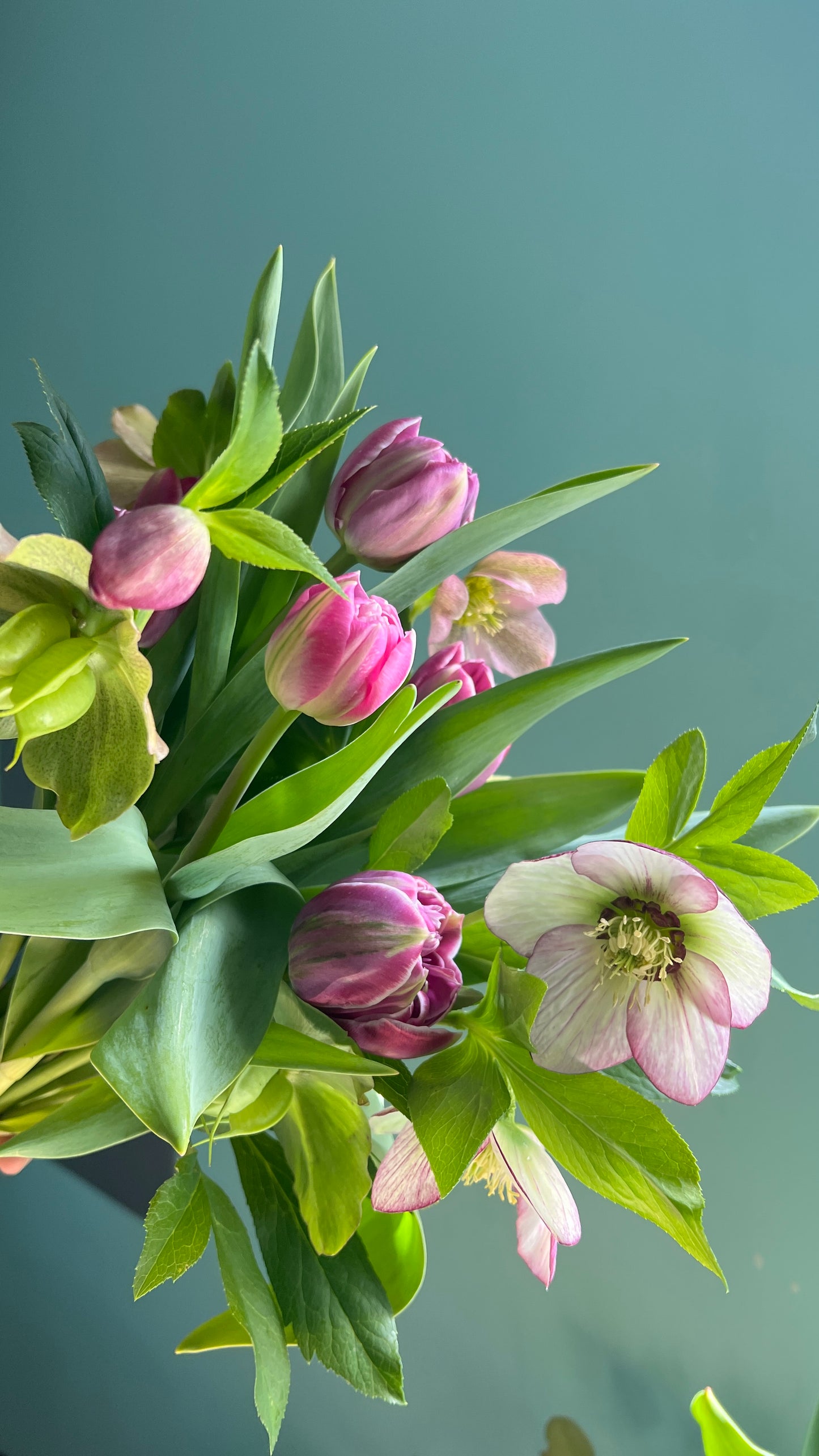 2026 Winter to Spring Bouquet Subscription