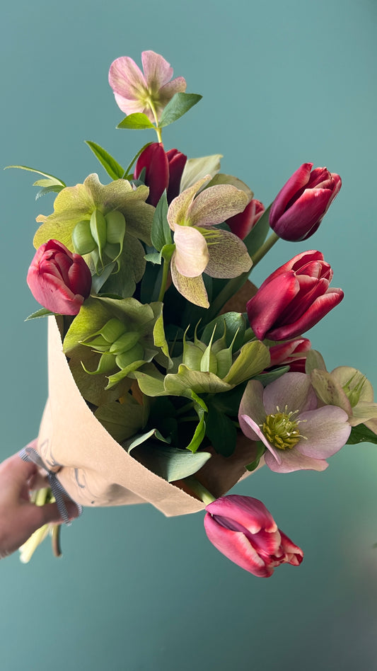 FRESH CUT TULIPS & SPRING BEAUTIES FOR DELIVERY