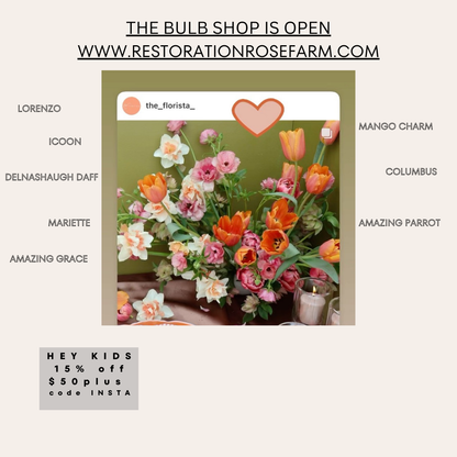 2026 Winter to Spring Bouquet Subscription
