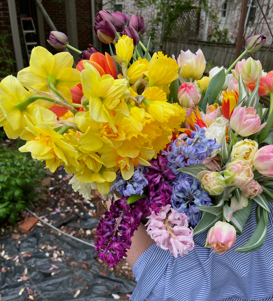 2026 Winter to Spring Bouquet Subscription
