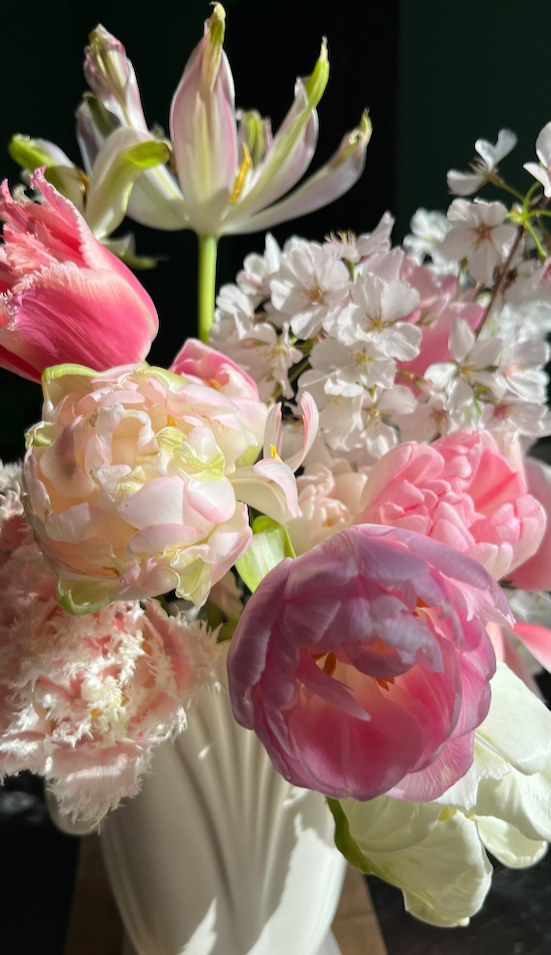 Palais Het Loo Fringed Tulip Bulbs